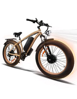 Ebike 2000W Electric Bike