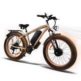 Ebike 2000W Electric Bike