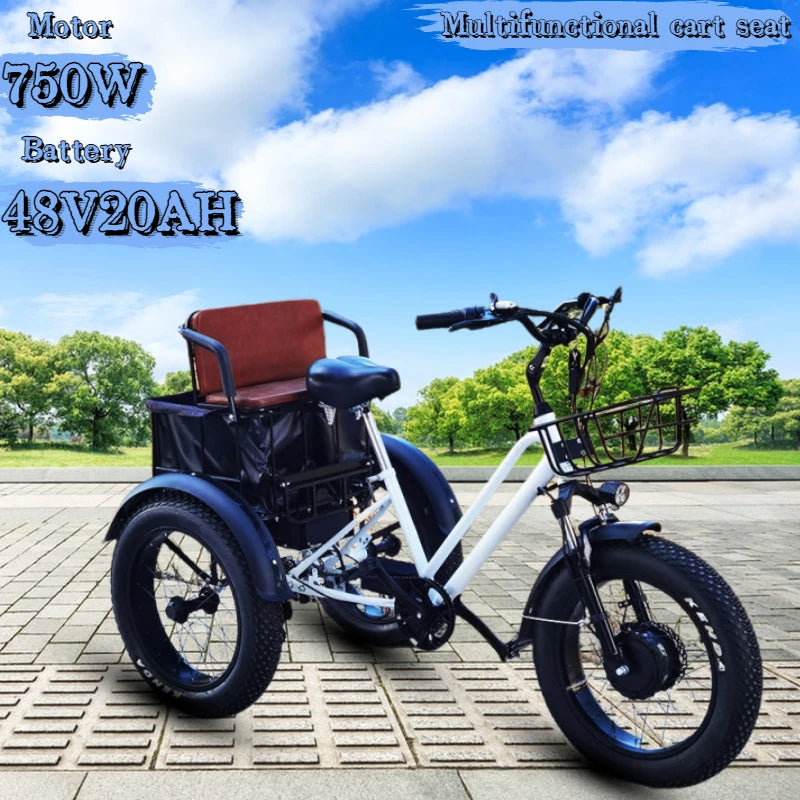 Electric Bicycle