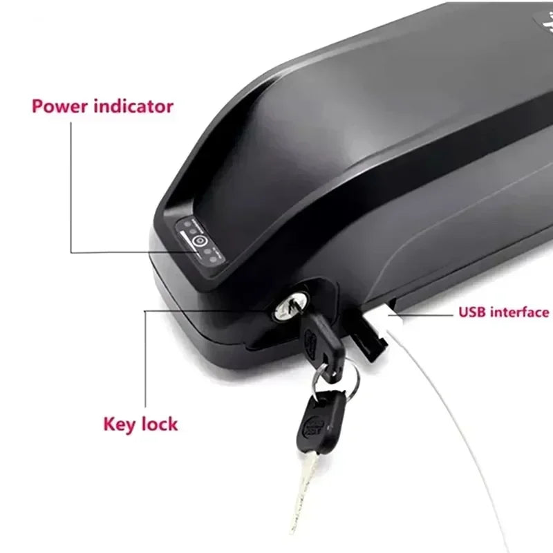 Citycoco Electric Scooter Battery 48V 20Ah-60Ah
