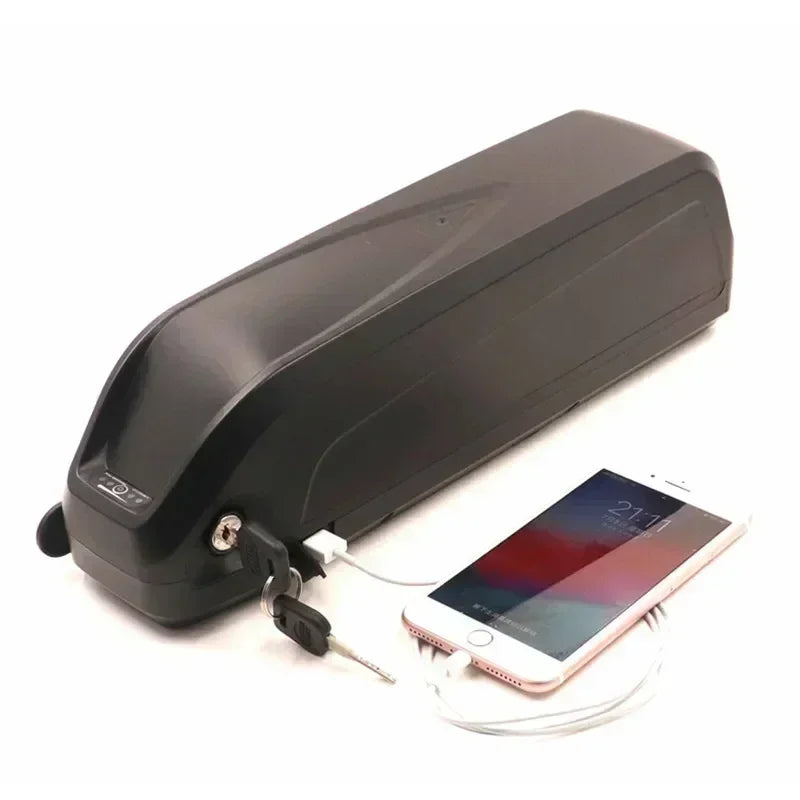 Citycoco Electric Scooter Battery 48V 20Ah-60Ah